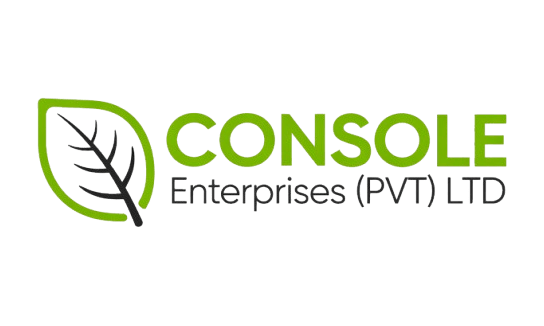 Home Consl
